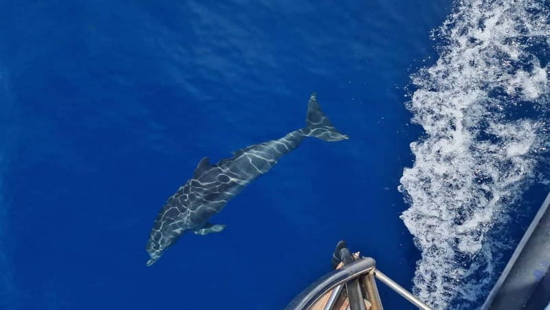 Zakynthos: Shipwreck Beach, Blue Caves & Xigia By Eurosky - Final Words