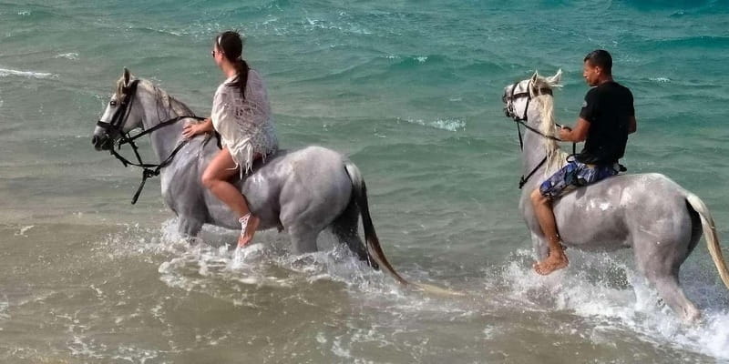 Zakynthos: Yotomu Horseback Riding Tour - Key points / Takeaways