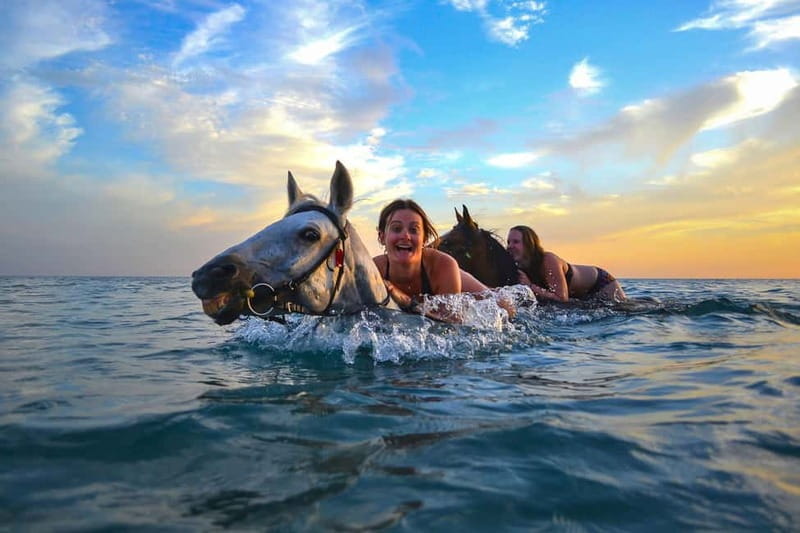 Zakynthos: Yotomu Horseback Riding Tour - A Deep Dive into the Horseback Riding Tour on Zakynthos
