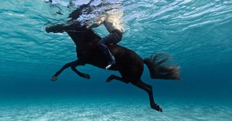 Zakynthos: Yotomu Horseback Riding Tour - Who Will Love This Experience?