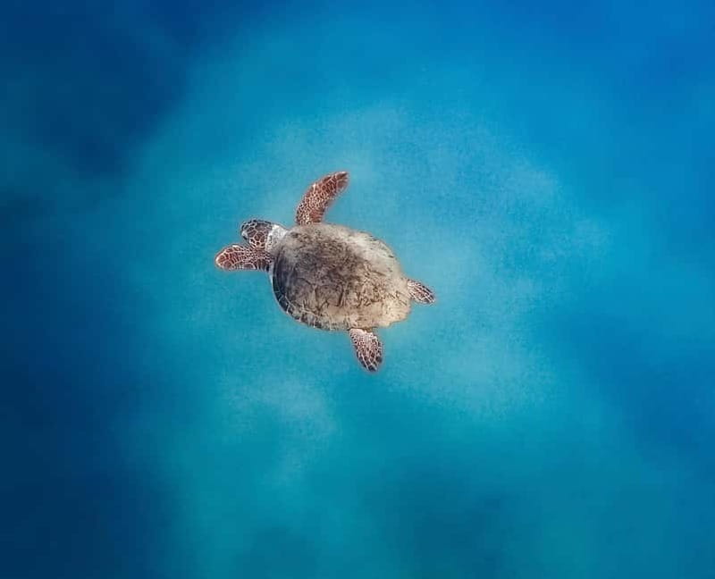 Zante Private Boat: Keri Caves, Mizithres, Eros Cave (max5) - FAQs: Practical Questions Answered