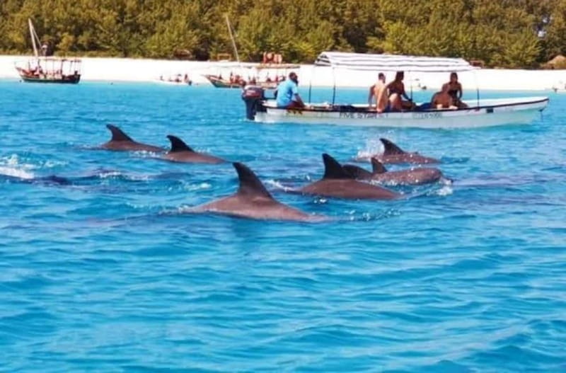 ZANZIBAR: Dolphins tour, Baraka Aquarium & Spice farm - Final Thoughts: Authenticity, Comfort, and Adventure in One Package