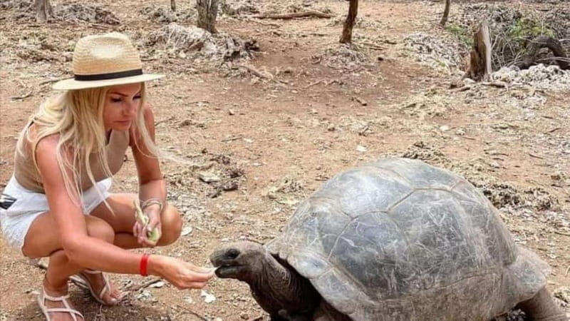 Zanzibar: Prison Island, Spice Farm Tour & Jozani with Lunch - Exploring Jozani Forest: Home of the Red Colobus Monkeys