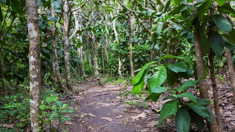 Zanzibar: Prison Island, Spice Farm Tour & Jozani with Lunch - Who Will Love This Tour?