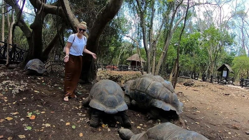 Zanzibar: Prison Island, Spice Farm Tour & Jozani with Lunch - FAQ