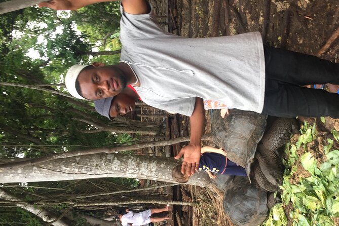 Zanzibar Tours & Taxi Services - Safety and Quality Assurance