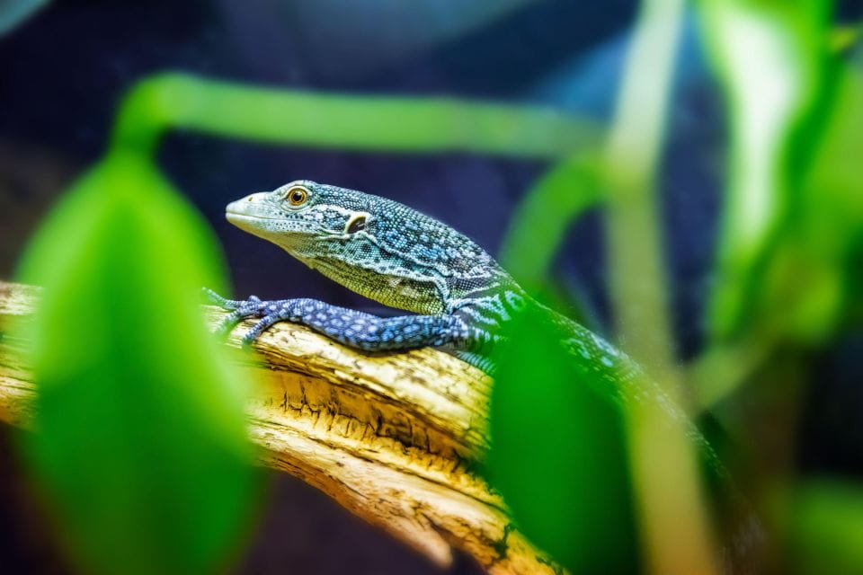 Zaragoza: Combo Amusement Park and Aquarium Entry Ticket - Included Features