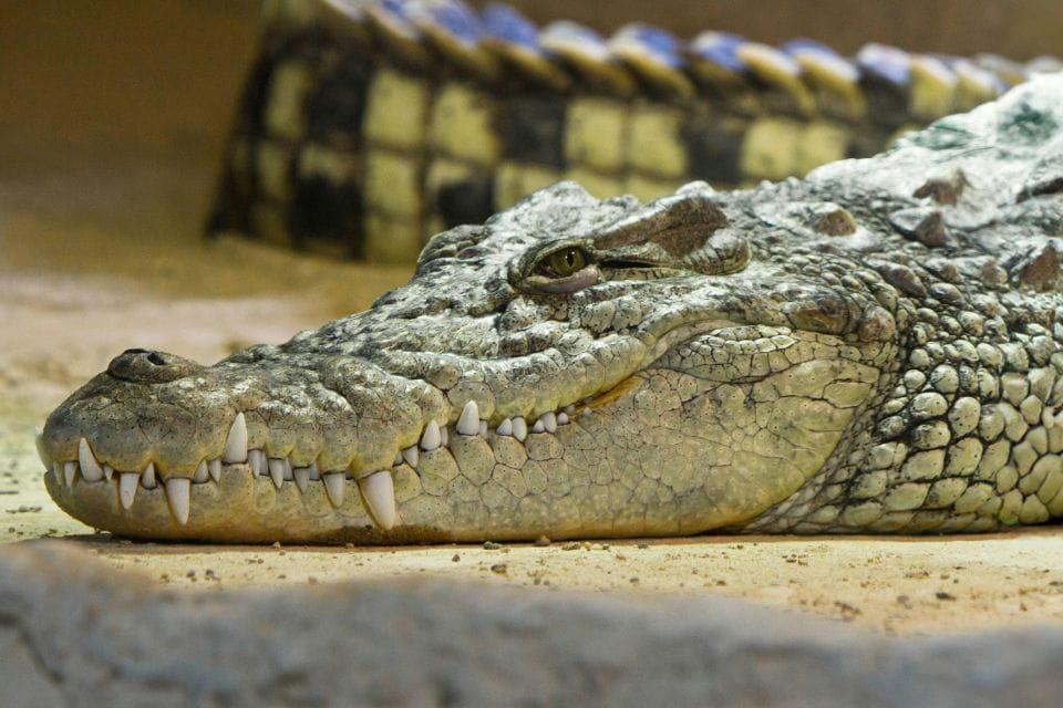 Zaragoza: Combo Amusement Park and Aquarium Entry Ticket - Visitor Feedback