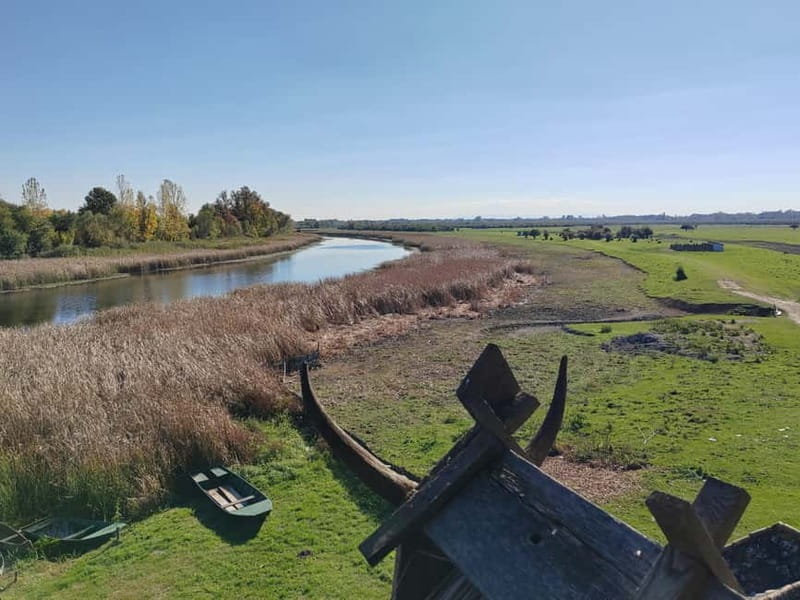 Zasavica Safari Tour - Key Points / Takeaways