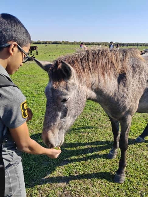 Zasavica Safari Tour - Entering The Natural Habitat of Zasavica