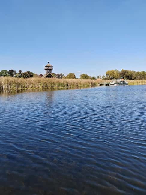 Zasavica Safari Tour - Indulging in Serbian Farm Cuisine