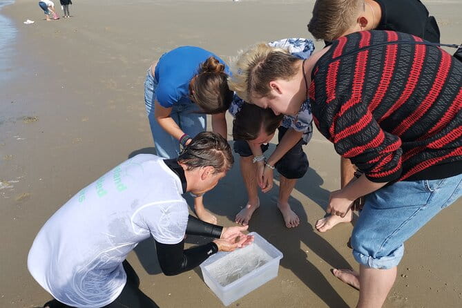 Zeeland Beach safari with Fishnet NL/DE - FAQs