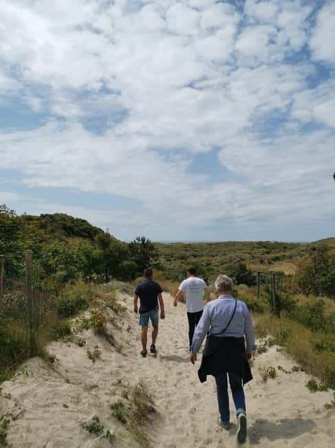Zeeland: Guided Bos en Duin Safari NL/DE - Discover Zeeland’s Forest and Dunes in a Guided Safari
