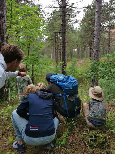 Zeeland: Guided Bos en Duin Safari NL/DE - Who Is This Tour Best For?