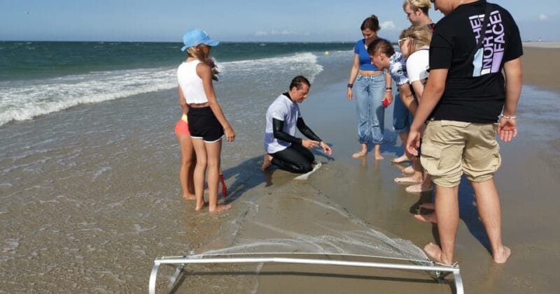 Zeeland Zeehonden strand safari NL/DE - Key points / Takeaways