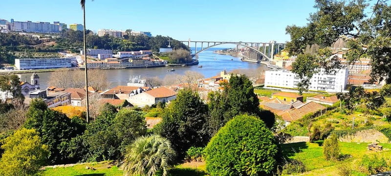 Zen Walking Tour Porto: Find Your Balance 2h - Exploring Porto with a Mindful Twist: Zen Walking Tour Review