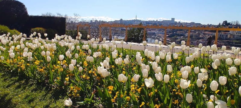 Zen Walking Tour Porto: Find Your Balance 2h - Itinerary Breakdown: What Makes Each Stop Special