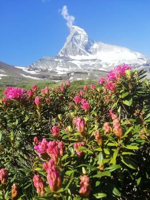 Zermatt: Matterhorn Glacier Paradise & Schwarzsee Hike - Key Points / Takeaways