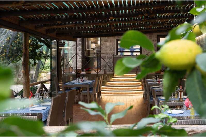 Zì Teresa Food Tasting Activity - Exploring the Lemon Grove in Sorrento