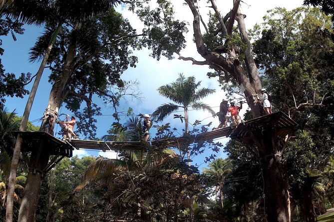 Zip Line Over the Dunns River Falls - Booking and Pricing Options