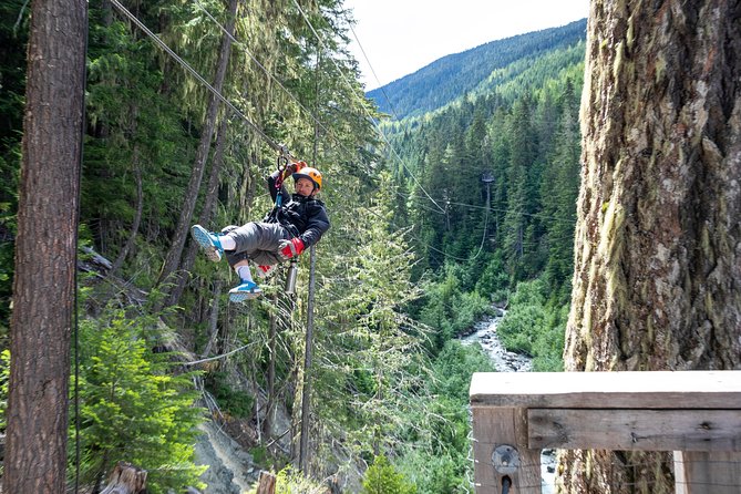 Zipline Adventure in Whistler - Safety Considerations