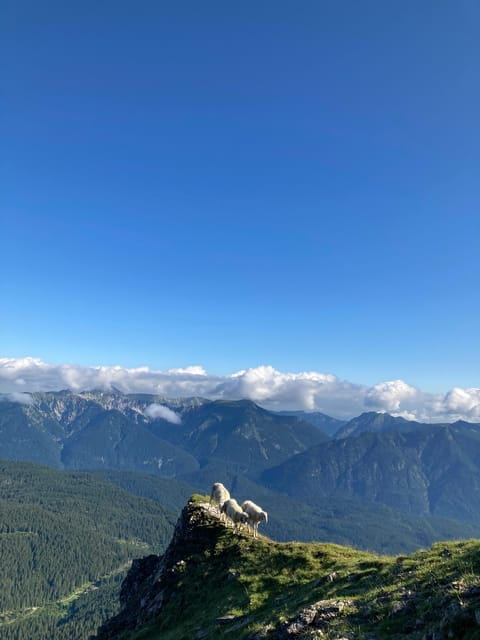 Zugspitze: Hiking Down via Gatterl to Ehrwald - Hiking Route