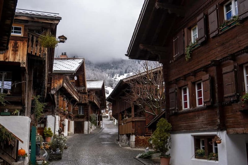 Zurich: Alps, Grindelwald, Lauterbrunnen & Interlaken Tour - Who Should Consider This Tour?
