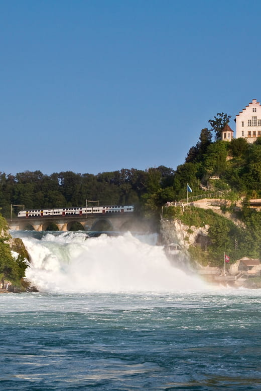 Zurich: Black Forest, Titisee, and Rhine Falls Bus Day Trip - Transportation and Meeting Point