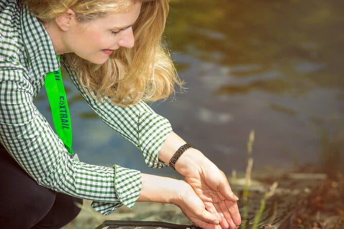 Zurich Foxtrail Aristotle - Key points / Takeaways