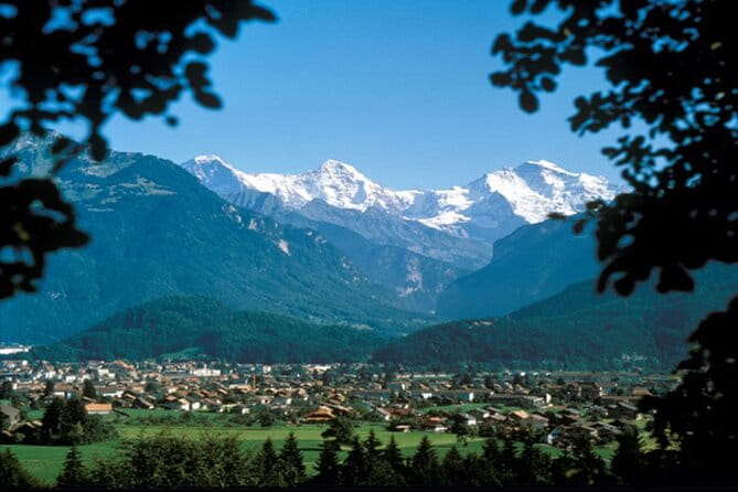 Zurich: Interlaken, Grindelwald & Harder Kulm Small Group Tour - An in-depth look at the experience