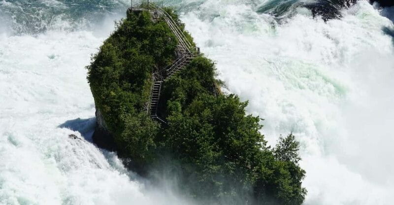 Zürich/Lucerne: Rhine Falls, Titisee & Black Forest Day Trip - Who This Tour Suits Best