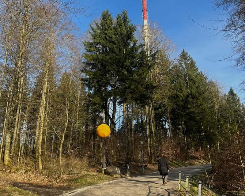 Zurich: Outdoor Raclette at Zurich's Viewpoint - Who Will Love This Tour?
