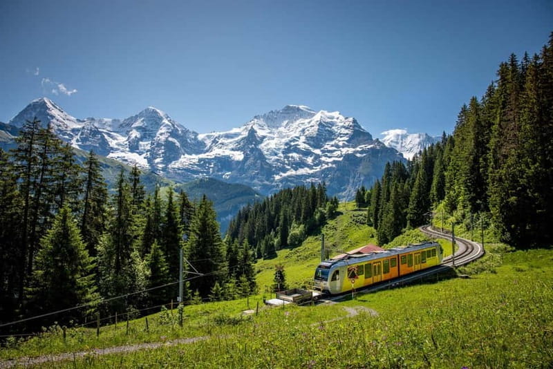 Zurich: Private Jungfraujoch & Thrilling Velogemel Adventure - Exploring Switzerland’s Crown Jewel: Jungfraujoch