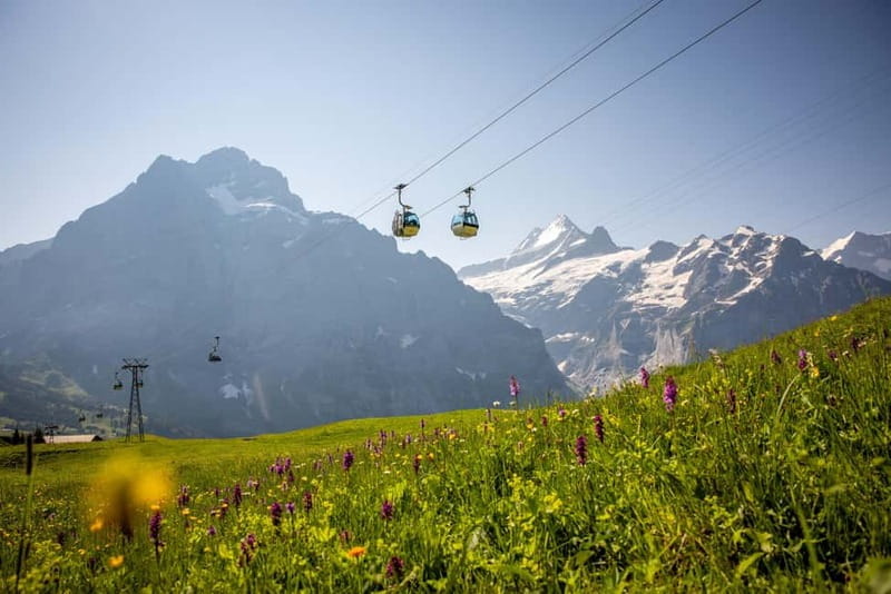 Zurich: Private Jungfraujoch & Thrilling Velogemel Adventure - Price and Logistics: Worth Every Franc