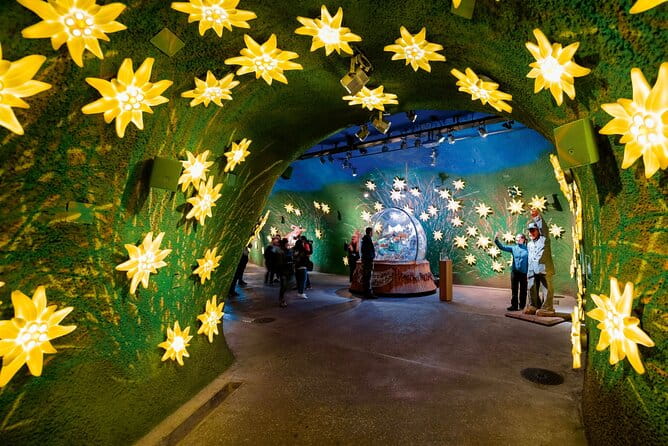 Zurich: Small group tour to Jungfrau, Grindelwald & Interlaken - Practical Tips for the Trip