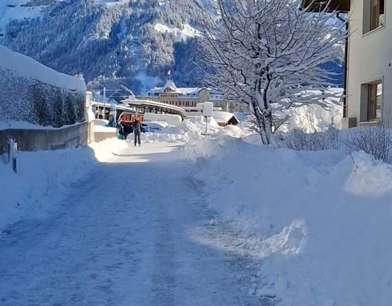 Zurich: Titlis Engelberg and Luzern Full-Day Private Tour - Discovering Switzerland: A curated journey from Zurich