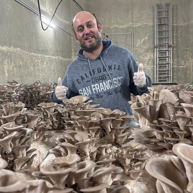 Zurich's best-kept secret: the hidden world of mushrooms! - Logistics: Planning Your Visit